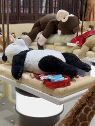 -奈尔宝·国风主题儿童乐园·亲子餐厅(豫园商城店)