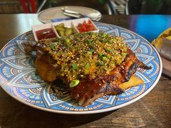 -Famous肥猫墨西哥音乐餐吧(五棵松华熙LIVE店)