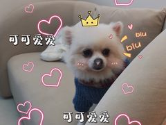 -怪兽屋·羊驼·猫咖·狗咖(俊华广场店)