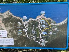 -广东惠东海龟国家级自然保护区