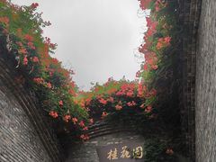 -朴园