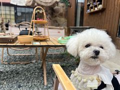 -陶野咖啡·面包披萨