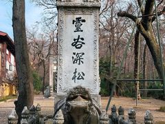 -灵谷景区