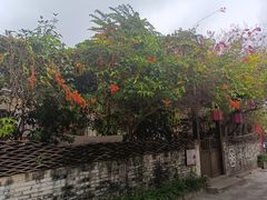 -三溪村