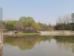 -大望京公园