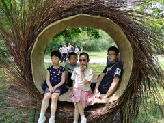 -溱湖国家湿地公园