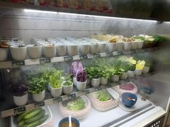 -半岛听涛蒸汽海鲜自助(K11店)
