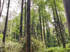 -罗田薄刀峰风景区