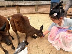 -费瑟代尔野生动物园