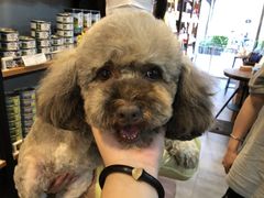 -PETKIT小佩宠物(古北店)