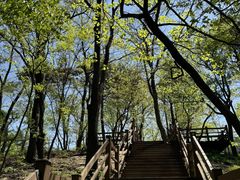 -沂蒙山旅游区云蒙景区(蒙山国家森林公园)