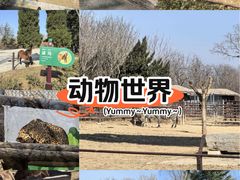 -济南野生动物世界