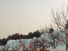 -玉龙滑雪场