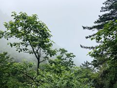 -罗田薄刀峰风景区