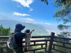 -铁山坪森林公园