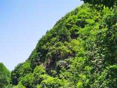 -秦岭终南山世界地质公园翠华山景区