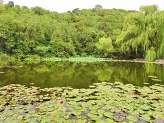 -香山公园