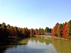 -上海海湾国家森林公园