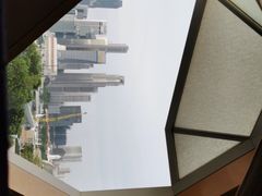 -新加坡丽思卡尔顿美年酒店