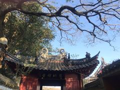 -普陀山风景区-佛顶山