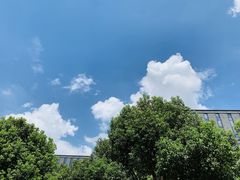 -尚贤河湿地
