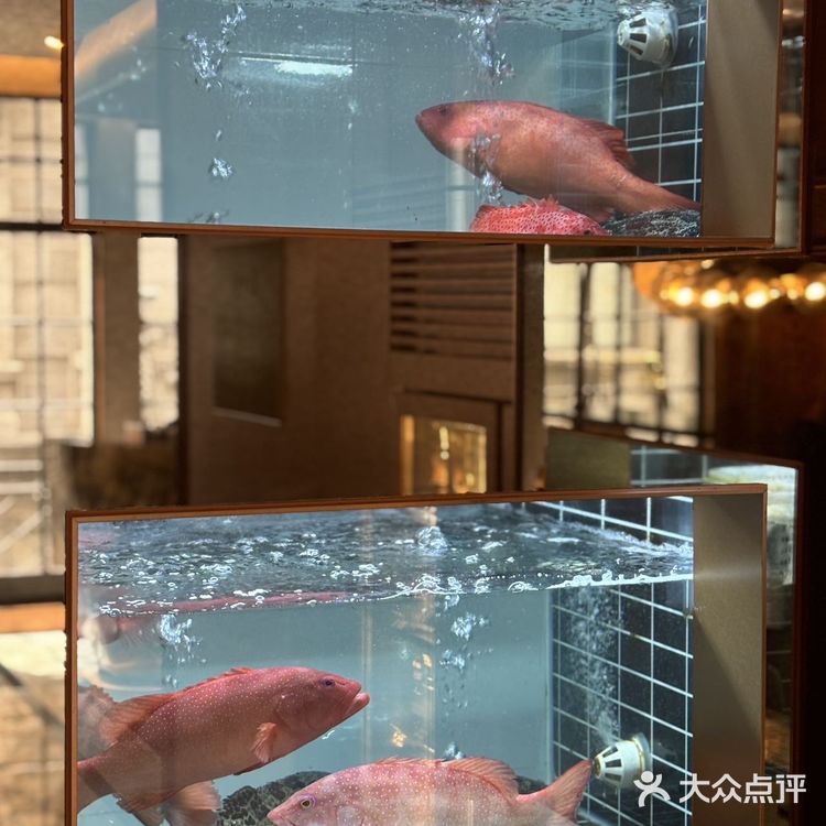 这家海鲜火锅太嗲啦！