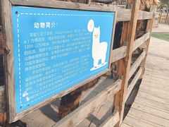 -北京鹿世界主题园