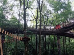 -石燕湖生态旅游景区