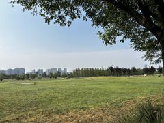 -汉长安城未央宫国家考古遗址公园