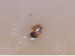 -甜蜜蜜港式茶餐厅(虹梅店)