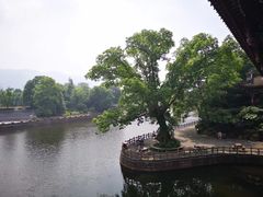 -枫香湖儿童公园