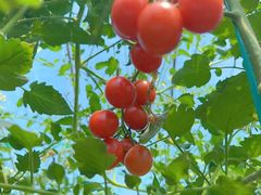 -会稽山峡洞漂流-上青古道