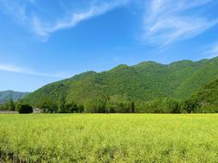 -石台牯牛降景区