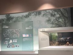 -中国湿地博物馆