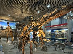 -国家自然博物馆