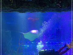 -沈阳海洋探索中心