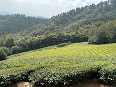 -敬亭山风景名胜区