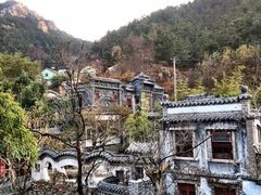 -老张烤羊(王哥庄店)