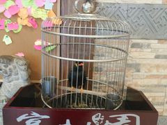 -宴桃园(门头沟店)