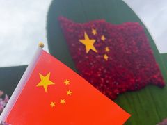 -荷兰花海