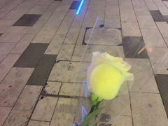 -必胜客(港城新天地店)