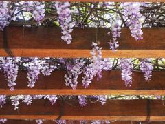 -徐家汇源景区-衡山公园