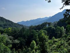 -波尔登森林公园