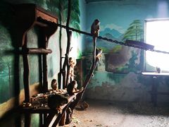 -大连森林动物园