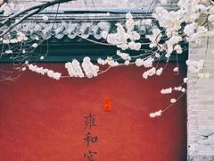 景点-雍和宫