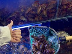 -虾铺子龙虾·私房菜(金源花苑店)