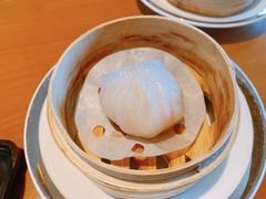 -广州富力君悦大酒店空中花园
