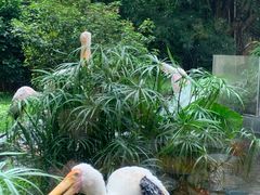 -熊猫自助餐厅.萌趣城堡(长隆熊猫酒店)