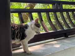 -上海佘山国家森林公园天马山园