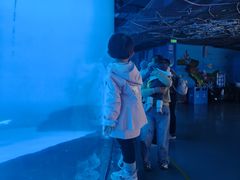 -海合安成都极地海洋公园